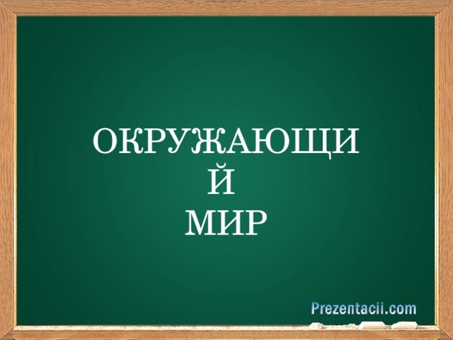 окружающий мир