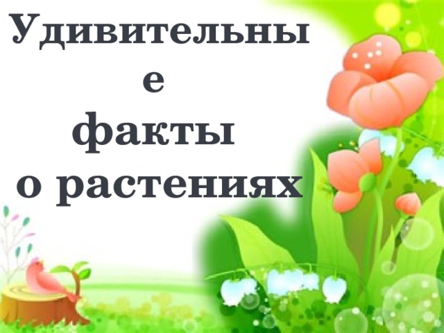 Удивительные факты о растениях