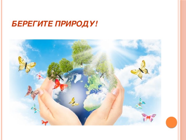 Беречь направление. Берегите природу. Природу надо беречь. Надпись берегите природу. Береги свою природу.