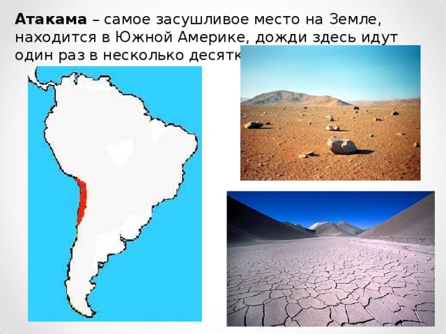 Атакама – самое засушливое место на Земле, находится в Южной Америке, дожди здесь идут один раз в несколько десятков лет.