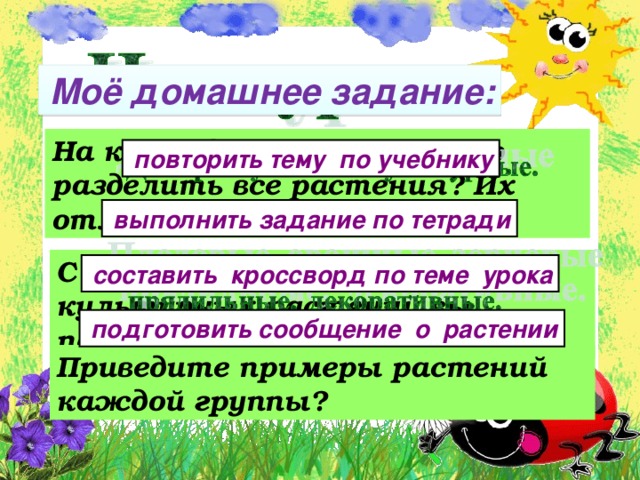 Моё домашнее задание: На какие две группы можно разделить все растения? Их отличие?  повторить тему по учебнику  выполнить задание по тетради С какими группами культурных растений вы познакомились?  составить кроссворд по теме урока  подготовить сообщение о растении Приведите примеры растений каждой группы?