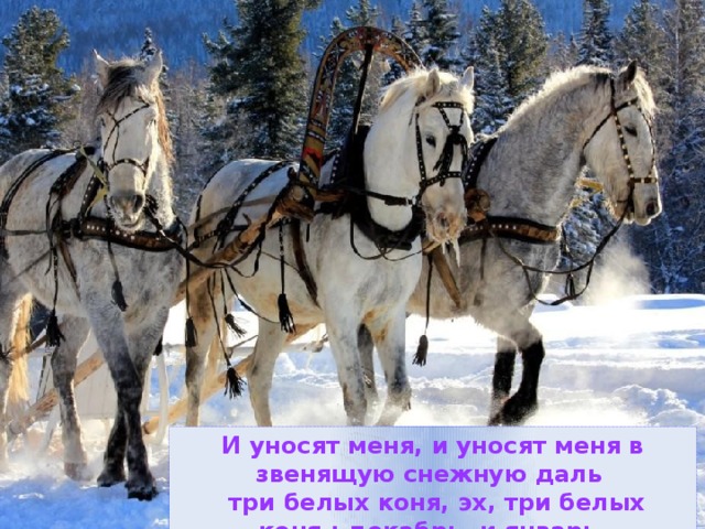 И уносят меня, и уносят меня в звенящую снежную даль  три белых коня, эх, три белых коня : декабрь, и январь, и февраль