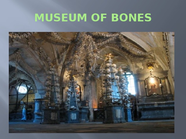 MUSEUM OF BONES