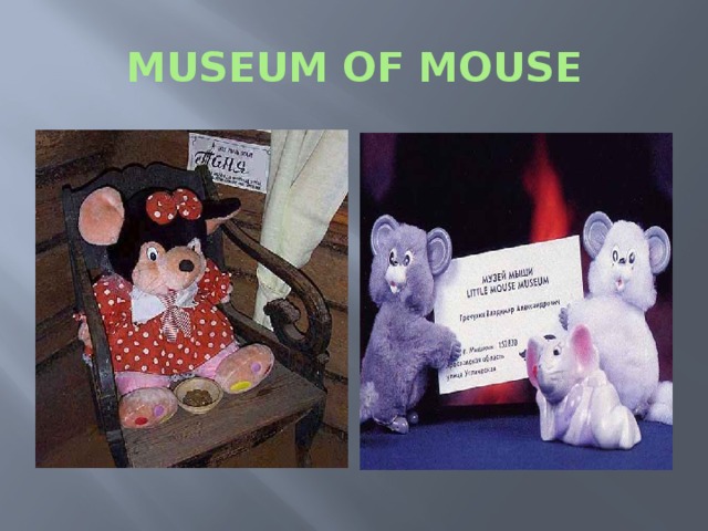 MUSEUM OF MOUSE