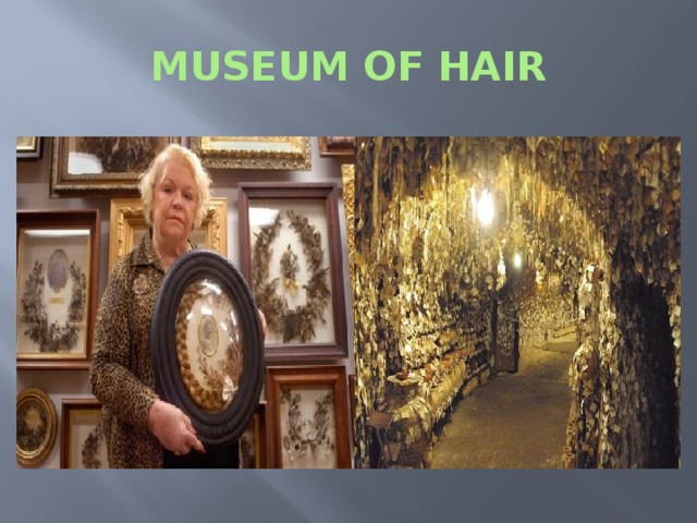 MUSEUM OF HAIR