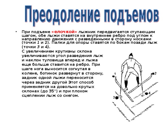 При подъеме «елочкой» лыжник передвигается ступающим шагом, обе лыжи ставятся на внутреннее ребро под углом к направлению движения с разведенными в сторону носками (точки 1 и 2). Палки для опоры ставятся по бокам позади лыж