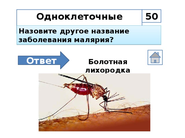 Одноклеточные животные 50 Назовите другое название заболевания малярия? Ответ Болотная лихородка