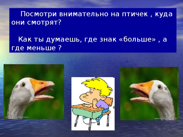 Посмотри внимательно на птичек , куда они смотрят?  Как ты думаешь, где знак «больше» , а где меньше ?