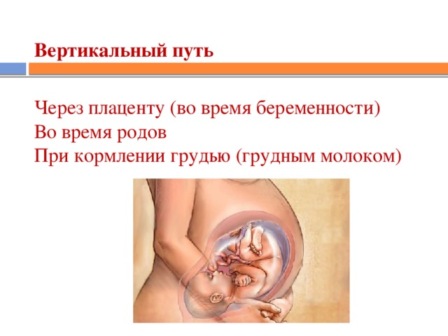 Вертикальный путь   Через плаценту (во время беременности)  Во время родов  При кормлении грудью (грудным молоком)