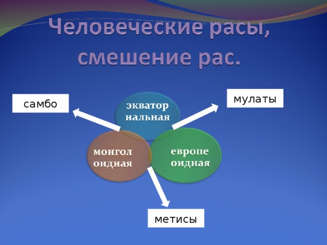 мулаты самбо метисы