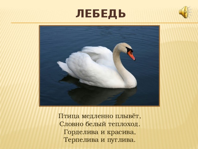 Лебедь Птица медленно плывёт,  Словно белый теплоход.  Горделива и красива,  Терпелива и пуглива.