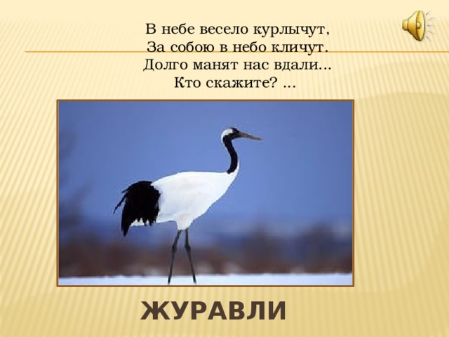 В небе весело курлычут,  За собою в небо кличут.  Долго манят нас вдали...  Кто скажите? ... Журавли