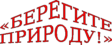 Надпись берегите природу. Берегите природу надпись красивая. Надпись береги природу. Красивая надпись береги природу.