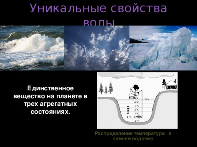 Уникальные свойства воды Единственное вещество на планете в трех агрегатных состояниях. Распределение температуры в зимнем водоеме