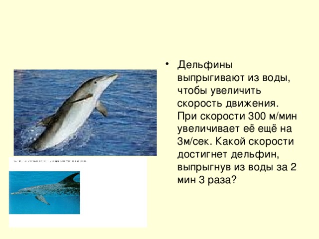 Дельфины выпрыгивают из воды, чтобы увеличить скорость движения. При скорости 300 м/мин увеличивает её ещё на 3м/сек. Какой скорости достигнет дельфин, выпрыгнув из воды за 2 мин 3 раза?