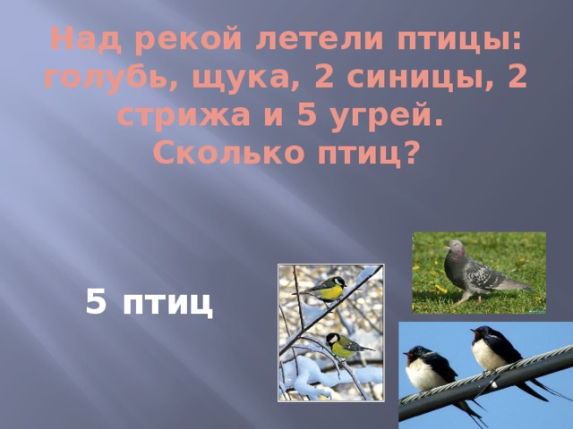 Над рекой летели птицы: голубь, щука, 2 синицы, 2 стрижа и 5 угрей.  Сколько птиц? 5 птиц