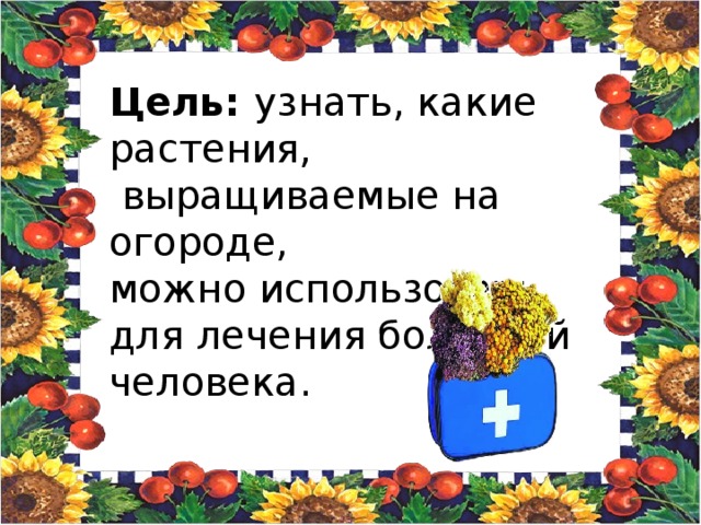 Цель: узнать, какие растения,  выращиваемые на огороде, можно использовать для лечения болезней человека.