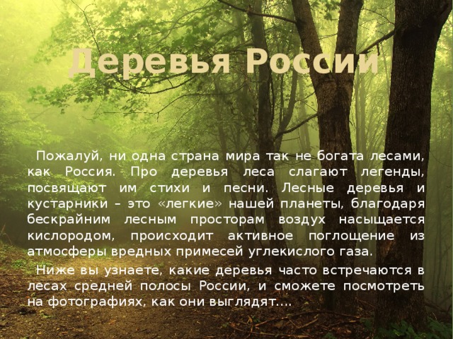 Деревья России Пожалуй, ни одна страна мира так не богата лесами, как Россия. Про деревья леса слагают легенды, посвящают им стихи и песни. Лесные деревья и кустарники – это «легкие» нашей планеты, благодаря бескрайним лесным просторам воздух насыщается кислородом, происходит активное поглощение из атмосферы вредных примесей углекислого газа. Ниже вы узнаете, какие деревья часто встречаются в лесах средней полосы России, и сможете посмотреть на фотографиях, как они выглядят.... 