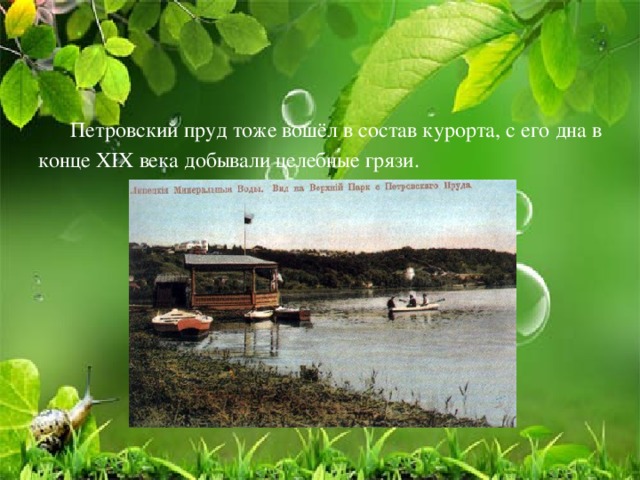Петровский пруд тоже вошёл в состав курорта, с его дна в конце XIX века добывали целебные грязи.