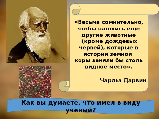 « Весьма сомнительно, чтобы нашлись еще другие животные  (кроме дождевых червей), которые в истории земной коры заняли бы столь видное место».  Чарльз Дарвин  Как вы думаете, что имел в виду ученый?