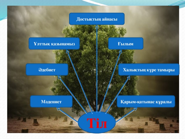 Достықтың айнасы Ғылым Ұлттық қазынамыз Халықтың күре тамыры Әдебиет Қарым-қатынас құралы Мәдениет Тіл
