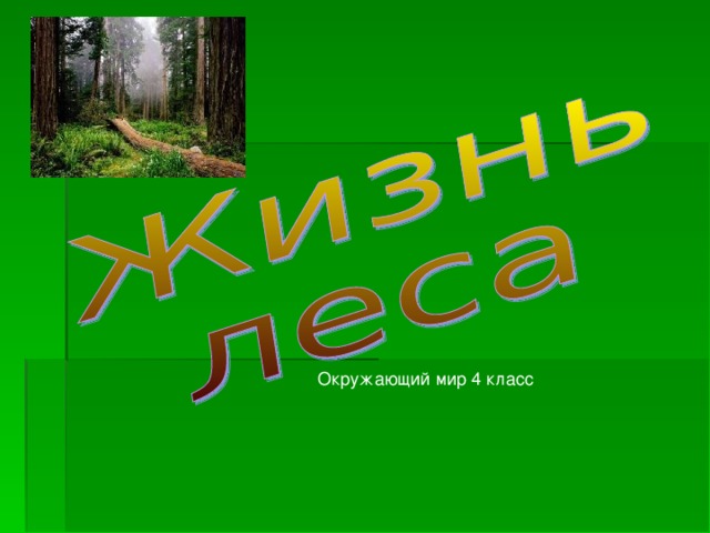 Окружающий мир 4 класс