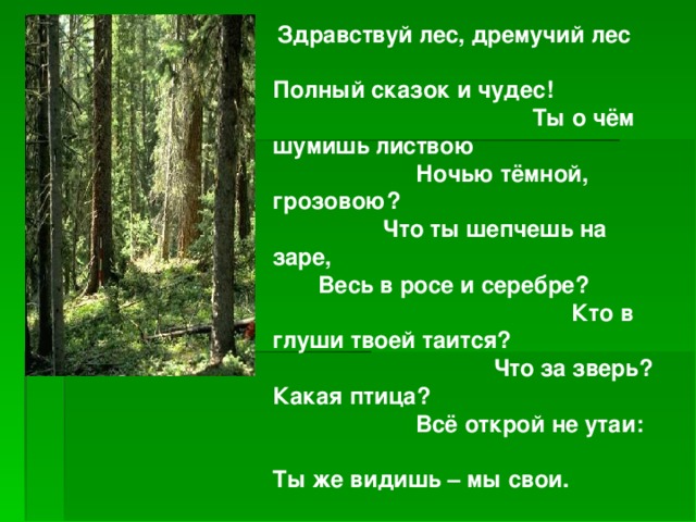 Здравствуй лес, дремучий лес Полный сказок и чудес! Ты о чём шумишь листвою Ночью тёмной, грозовою? Что ты шепчешь на заре, Весь в росе и серебре? Кто в глуши твоей таится? Что за зверь? Какая птица? Всё открой не утаи: Ты же видишь – мы свои.