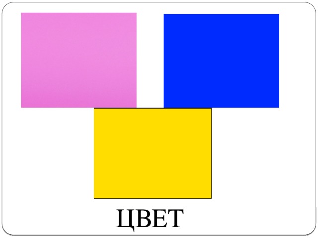 ЦВЕТ