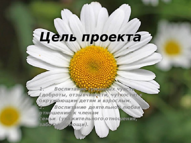 Цель проекта 1.      Воспитание гуманных чувств (доброты, отзывчивости, чуткости) к окружающим детям и взрослым. 2.      Воспитание деятельной любви по отношению к членам семьи  (уважительного отношения, заботы, помощи).