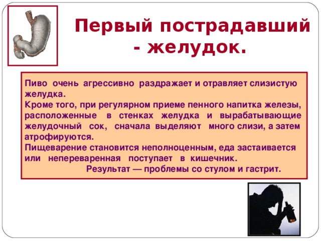 Первый пострадавший - желудок.  Пиво очень агрессивно раздражает и отравляет слизистую желудка. Кроме того, при регулярном приеме пенного напитка железы, расположенные в стенках желудка и вырабатывающие желудочный сок, сначала выделяют много слизи, а затем атрофируются. Пищеварение становится неполноценным, еда застаивается или непереваренная поступает в кишечник.  Результат — проблемы со стулом и гастрит.