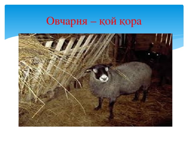 Овчарня – қой қора