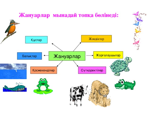 Жануарлар мынадай топқа бөлінеді:  Жәндіктер Құстар Жануарлар Жорғалаушылар Балықтар Қосмекенділер Сүтқоректілер