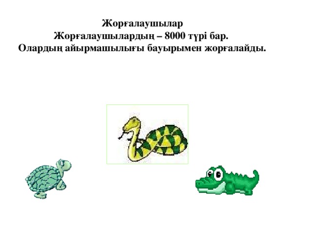 Жорғалаушылар Жорғалаушылардың – 8000 түрі бар. Олардың айырмашылығы бауырымен жорғалайды.