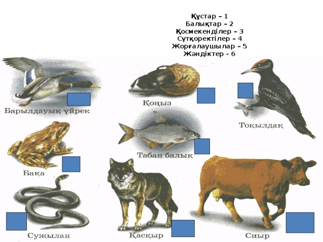 Құстар – 1  Балықтар – 2  Қосмекенділер – 3  Сүтқоректілер – 4  Жорғалаушылар – 5  Жәндіктер - 6