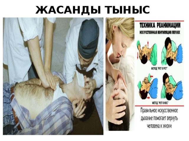 ЖАСАНДЫ ТЫНЫС