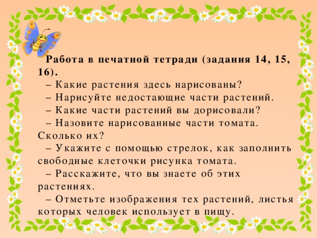 Работа в печатной тетради (задания 14, 15, 16). – Какие растения здесь нарисованы? – Нарисуйте недостающие части растений. – Какие части растений вы дорисовали? – Назовите нарисованные части томата. Сколько их? – Укажите с помощью стрелок, как заполнить свободные клеточки рисунка томата. – Расскажите, что вы знаете об этих растениях. – Отметьте изображения тех растений, листья которых человек использует в пищу.