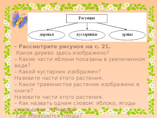 – Рассмотрите рисунок на с. 21.  Какое дерево здесь изображено? – Какие части яблони показаны в увеличенном виде? – Какой кустарник изображен? Назовите части этого растения. – Какое травянистое растение изображено в книге? Назовите части этого растения. – Как назвать одним словом: яблоко, ягоды смородины, помидор?  Где образуются плоды?