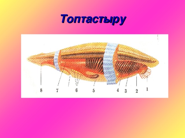 Топтастыру