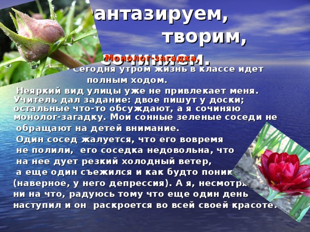 Р.Р. Фантазируем,  творим, сочиняем. Монолог-загадка.  Сегодня утром жизнь в классе идет  полным ходом.  Неяркий вид улицы уже не привлекает меня. Учитель дал задание: двое пишут у доски; остальные что-то обсуждают, а я сочиняю монолог-загадку. Мои сонные зеленые соседи не  обращают на детей внимание.  Один сосед жалуется, что его вовремя  не полили, его соседка недовольна, что  на нее дует резкий холодный ветер,  а еще один съежился и как будто поник  (наверное, у него депрессия). А я, несмотря  ни на что, радуюсь тому что еще один день  наступил и он раскроется во всей своей красоте.