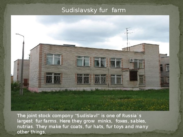 Sudislavsky fur farm The joint stock compony “Sudislavl” is one of Russia`s largest fur farms. Here they grow minks, foxes, sables, nutrias. They make fur coats, fur hats, fur toys and many other things.