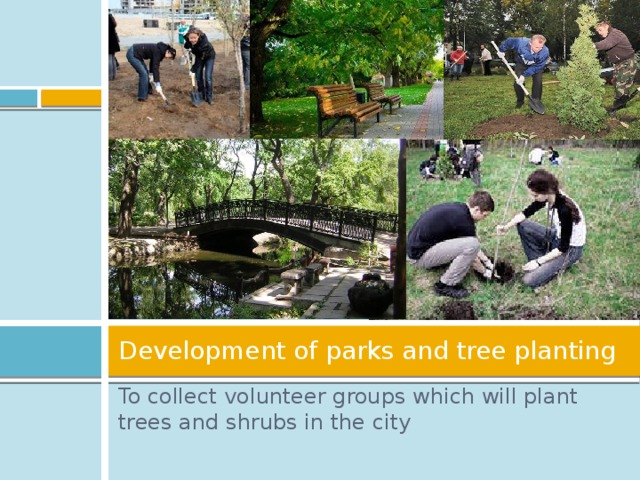 Development of parks and tree planting To collect volunteer groups which will plant trees and shrubs in the city