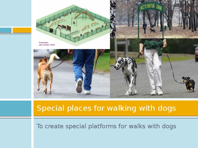 Special places for walking with dogs To create special platforms for walks with dogs