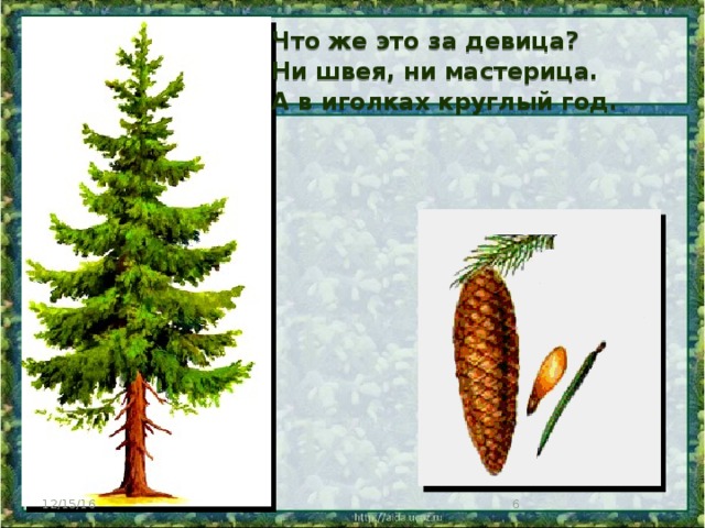 Что же это за девица? Ни швея, ни мастерица. А в иголках круглый год.  12/15/16