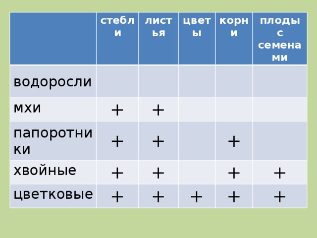 стебли водоросли  листья мхи +  цветы папоротники хвойные + корни + плоды с семенами  + цветковые + + + + + + + + + +