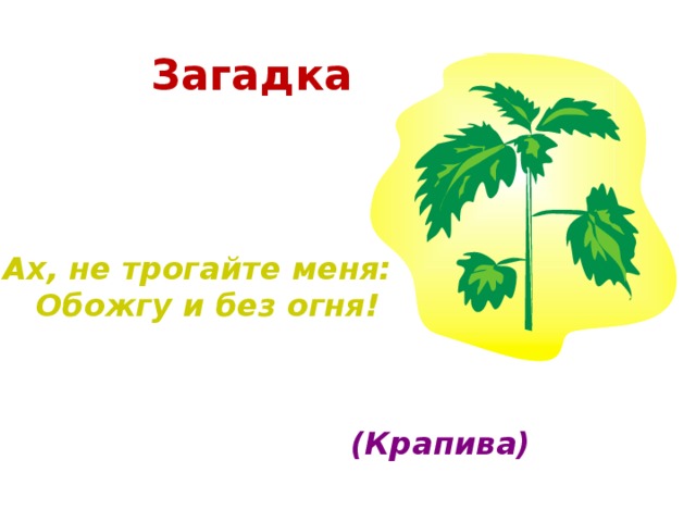 Загадка . Ах, не трогайте меня:  Обожгу и без огня! (Крапива)