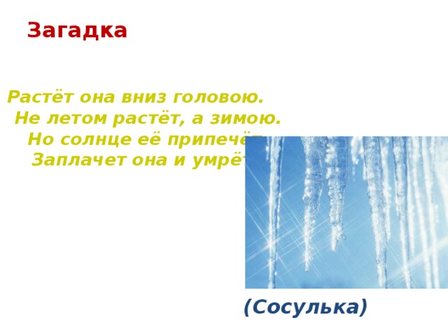 Загадка      Растёт она вниз головою.  Не летом растёт, а зимою.  Но солнце её припечёт-  Заплачет она и умрёт. (Сосулька)