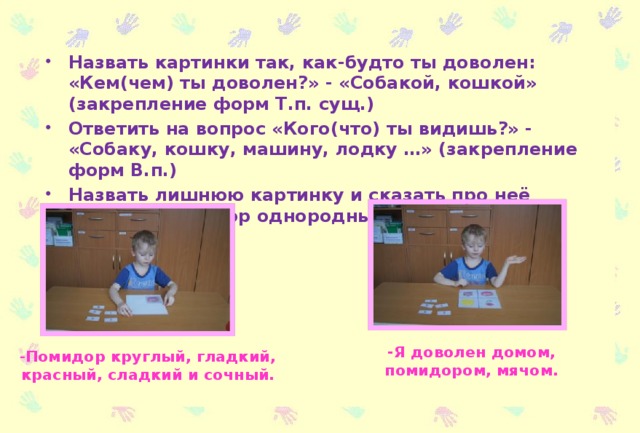 Назвать картинки так, как-будто ты доволен: «Кем(чем) ты доволен?» - «Собакой, кошкой» (закрепление форм Т.п. сущ.) Ответить на вопрос «Кого(что) ты видишь?» - «Собаку, кошку, машину, лодку …» (закрепление форм В.п.) Назвать лишнюю картинку и сказать про неё «Какая?» (подбор однородных определений)  -Я доволен домом, помидором, мячом. - Помидор круглый, гладкий, красный, сладкий и сочный.