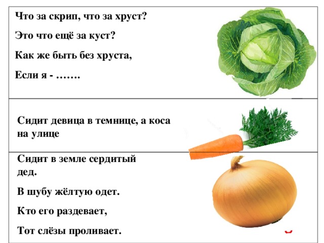 Что за скрип, что за хруст? Это что ещё за куст? Как же быть без хруста, Если я - ……. Сидит девица в темнице, а коса на улице Сидит в земле сердитый дед. В шубу жёлтую одет. Кто его раздевает, Тот слёзы проливает.