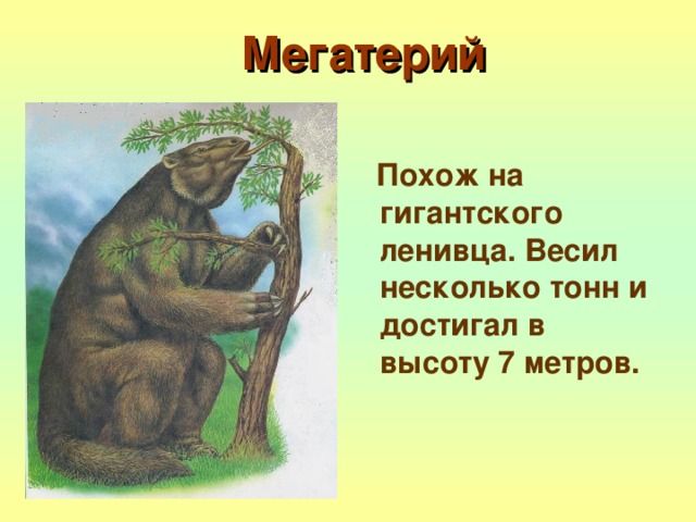 Мегатерий  Похож на гигантского ленивца. Весил несколько тонн и достигал в высоту 7 метров.