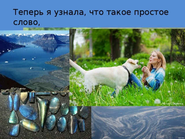 Теперь я узнала, что такое простое слово, как «Лабрадор», имеет столько значений…